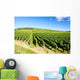vineyards of Cote de Beaune near Pommard, Burgundy, France Wall Mural
