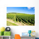 vineyards of Cote de Beaune near Pommard, Burgundy, France Wall Mural