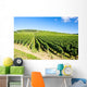 vineyards of Cote de Beaune near Pommard, Burgundy, France Wall Mural
