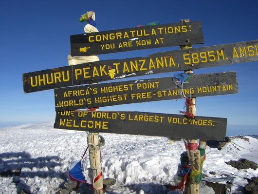 At the Top of Mt Kilimanjaro Wall Mural