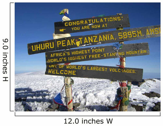 At the Top of Mt Kilimanjaro Wall Mural