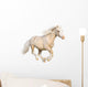 Welsh Pony Gallops