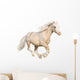 Welsh Pony Gallops