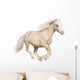 Welsh Pony Gallops