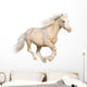 Welsh Pony Gallops