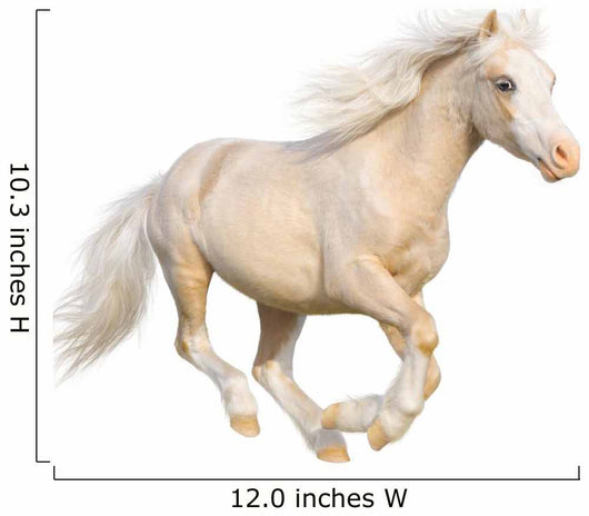 Welsh Pony Gallops