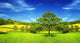 Panorama Spring Mountain Wall Decal