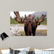 Moose Alaska Wall Decal