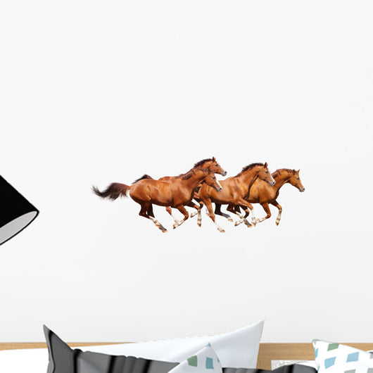 Four Sorrel Stallion Gallop Wall Mural