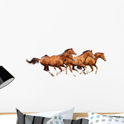 Four Sorrel Stallion Gallop Wall Mural