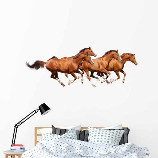 Four Sorrel Stallion Gallop Wall Mural