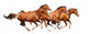 Four Sorrel Stallion Gallop Wall Mural