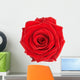 Beautiful Single Red Rose Wall Decal