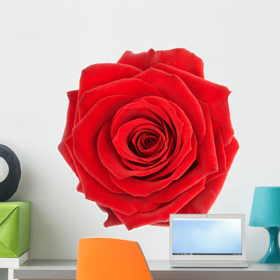 Beautiful Single Red Rose Wall Decal shown on a wall