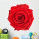 Beautiful Single Red Rose Wall Decal