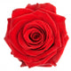 Beautiful Single Red Rose Wall Decal