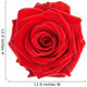 Beautiful Single Red Rose Wall Decal