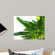 Banana Leaves