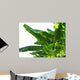 Banana Leaves