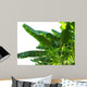 Banana Leaves