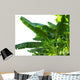 Banana Leaves