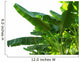 Banana Leaves