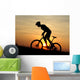 Mountain Biker Wall Mural