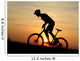 Mountain Biker Wall Mural