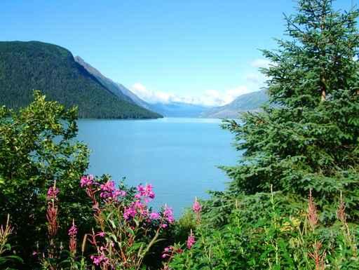 Kenai Peninsula Alaska Wall Decal