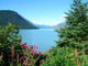 Kenai Peninsula Alaska Wall Decal