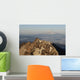 Mount Rainier from atop Wall Mural
