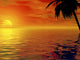 Palms and Sun Wall Mural