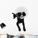 Dog Wearing Elizabethan Collar Wall Mural