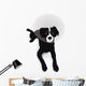 Dog Wearing Elizabethan Collar Wall Mural