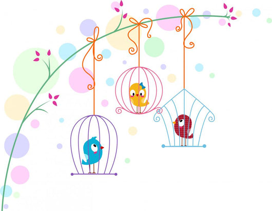 Lovebirds Cages