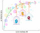 Lovebirds Cages