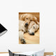 Two Dogs Lying