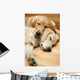 Two Dogs Lying