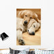 Two Dogs Lying