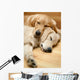 Two Dogs Lying