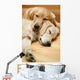 Two Dogs Lying