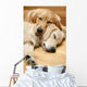 Two Dogs Lying