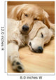 Two Dogs Lying