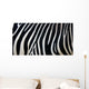 Zebra Stripes Wall Mural