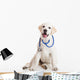 Veterinarian Dog Wall Decal