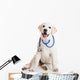 Veterinarian Dog Wall Decal