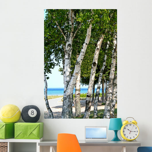 Trees Lake Shore