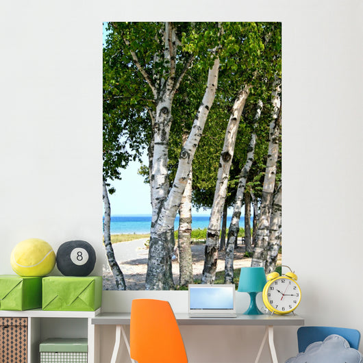 Trees Lake Shore