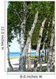 Trees Lake Shore