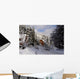 Peeking Wall Mural
